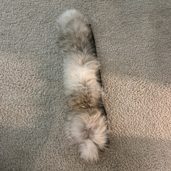 Canada Goose Parka Green - Picture 8 of 8